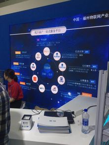 聚合支付技術亮相首屆數字中國建設峰會，四九八網絡科技引領網絡服務創新